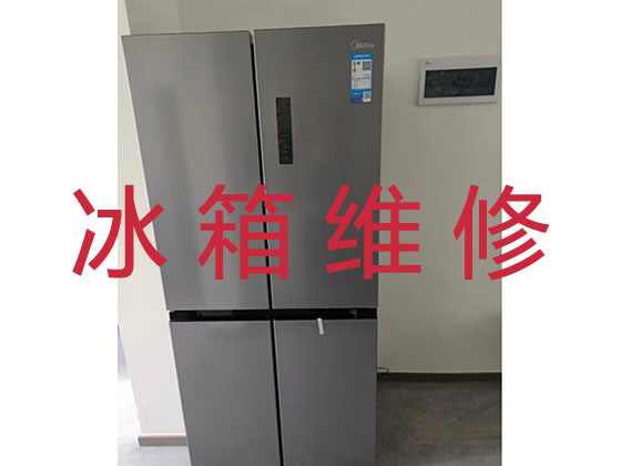 明港电冰箱维修服务